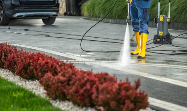 Professional Pressure Washing Services in Winfield, IA